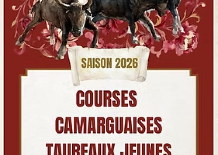 Course Camarguaise de taureaux jeunes