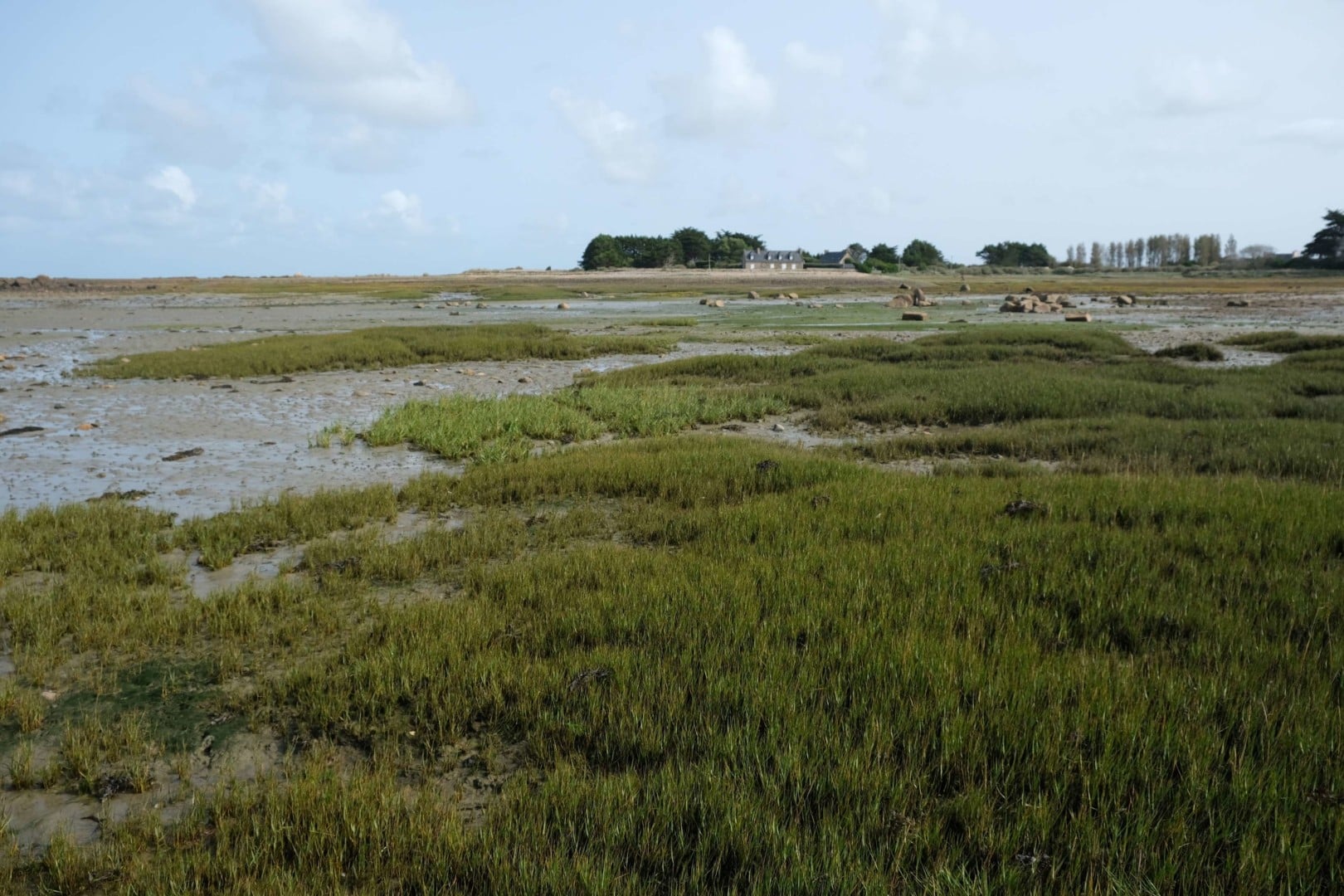 Découverte du milieu marin à marée basse