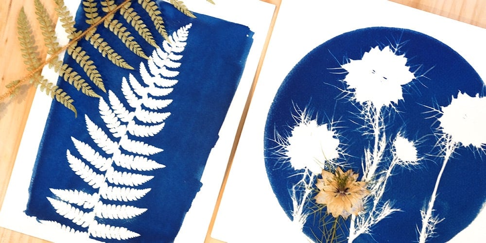 Les mardis de l'été « Atelier cyanotype »