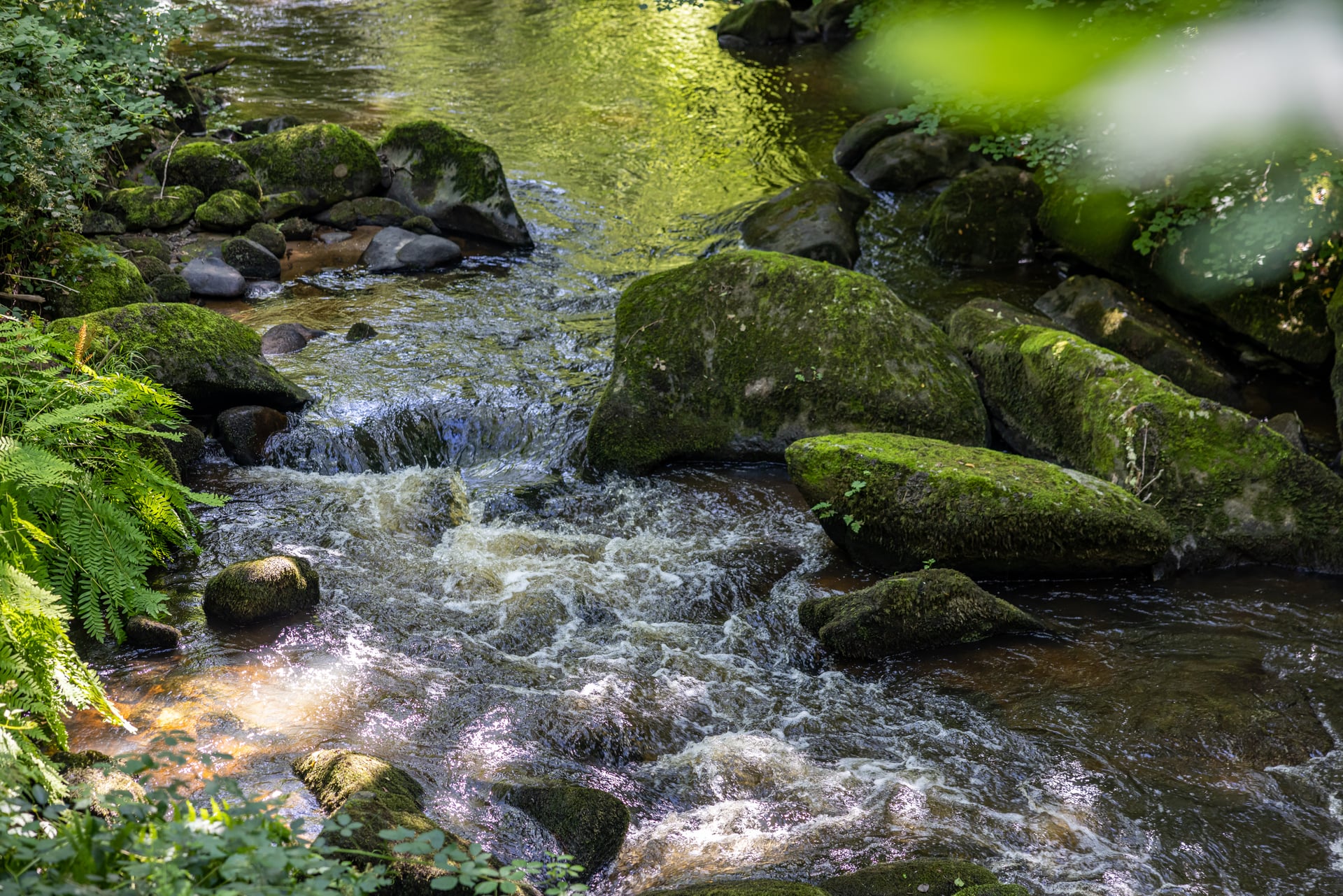 Vis ma vie de technicien rivière