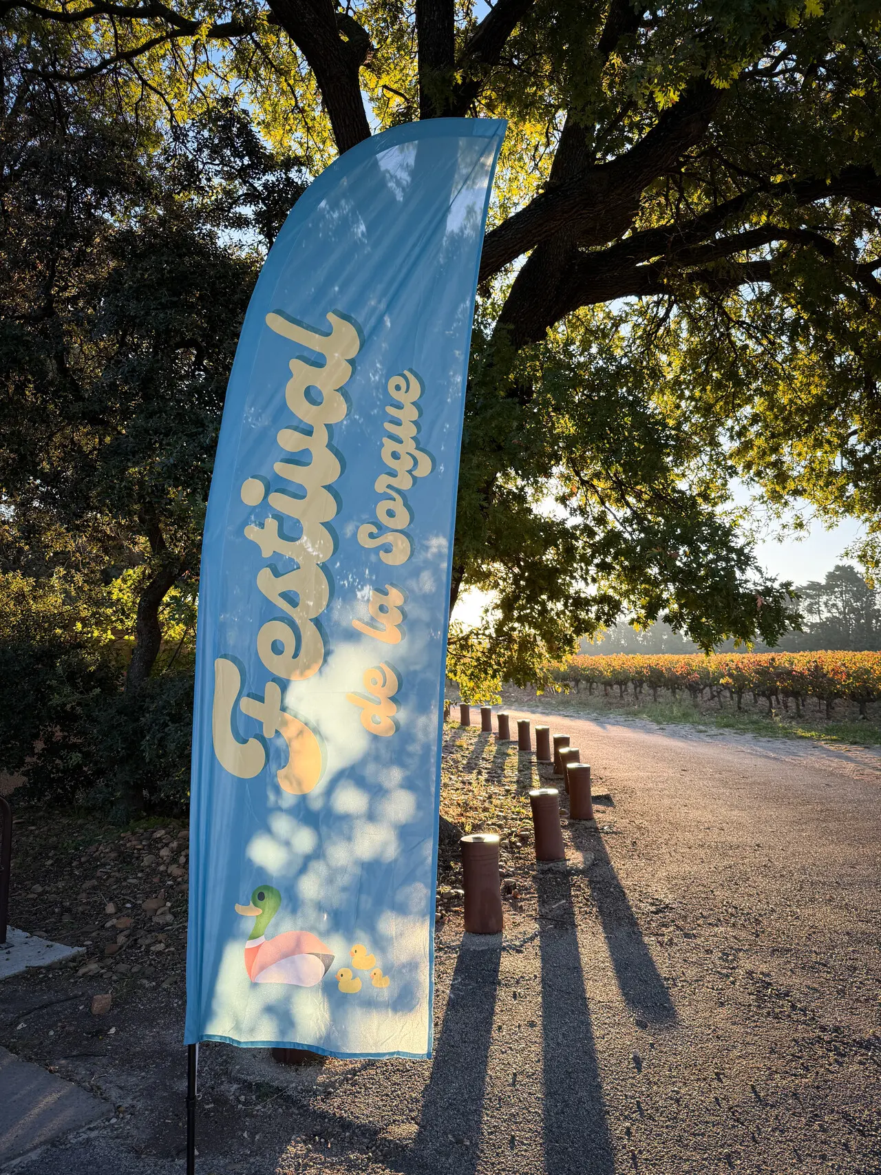 Festival de la Sorgue - Rendez-vous d'Automne