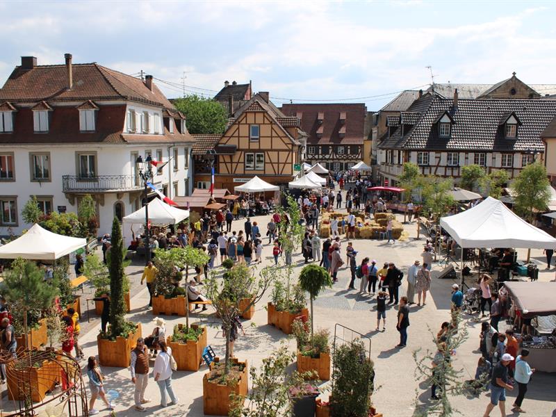 Erstein, un parfum de printemps