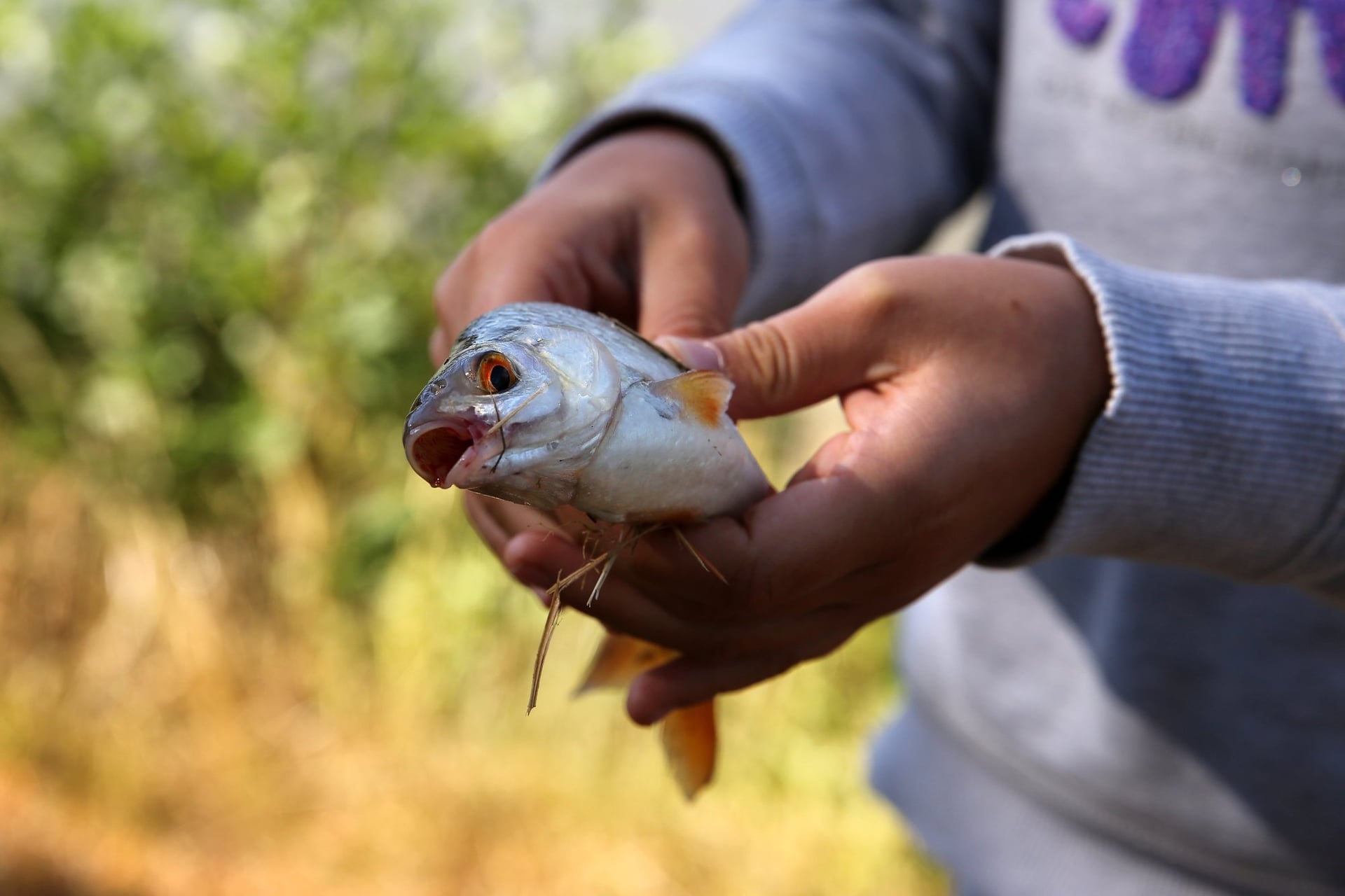 Concours de Pêche à Lacapelle-Marival
