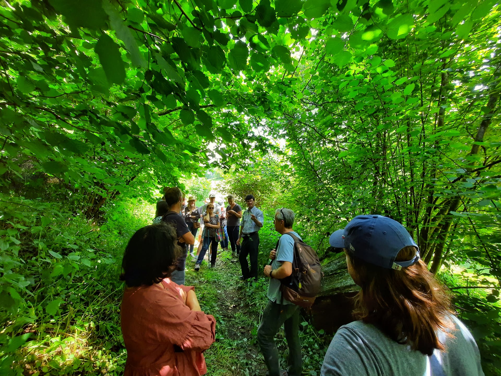 Rando patrimoine - Balade ethnobotanique à Saint-Jean