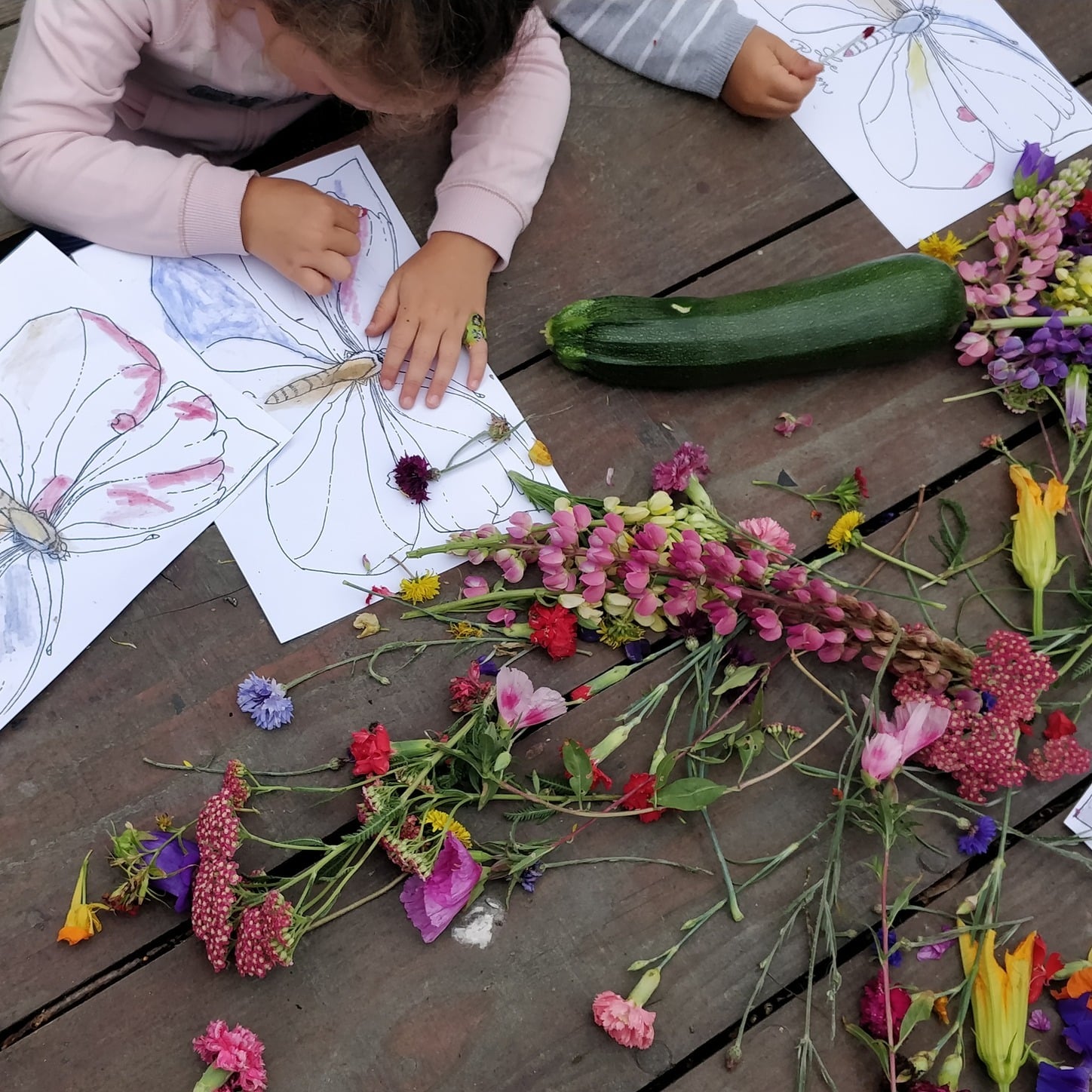 Conte sur les papillons et coloriages végétaux, à la Cueillette de l'Aragnon