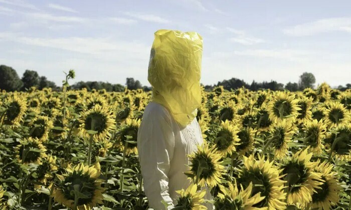 Exposition Plants and People - au Musée d’arts de Nantes