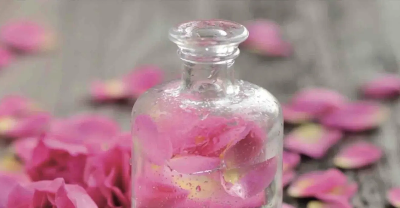 Conférence : « Pour la beauté de la rose, ses parfums et ses secrets » - Rencontres Parfumées