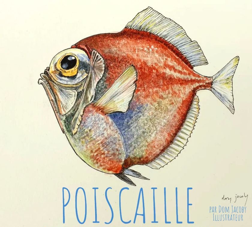 Exposition : Point de départ de la Rance