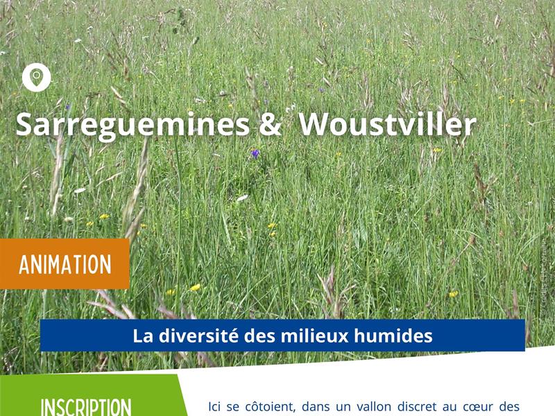 Sortie nature - La diversité des milieux humides