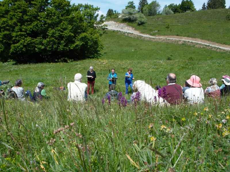 Festival de Musique du Haut-Jura : La Caravane Musicale – Randonnée poétique et musicale