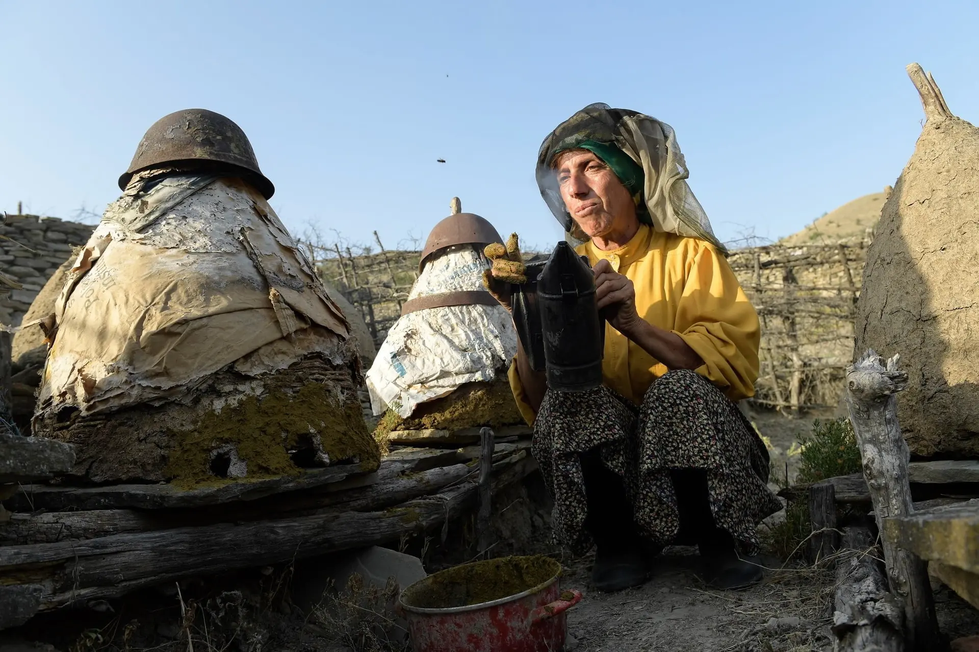 Projection de "Honeyland"