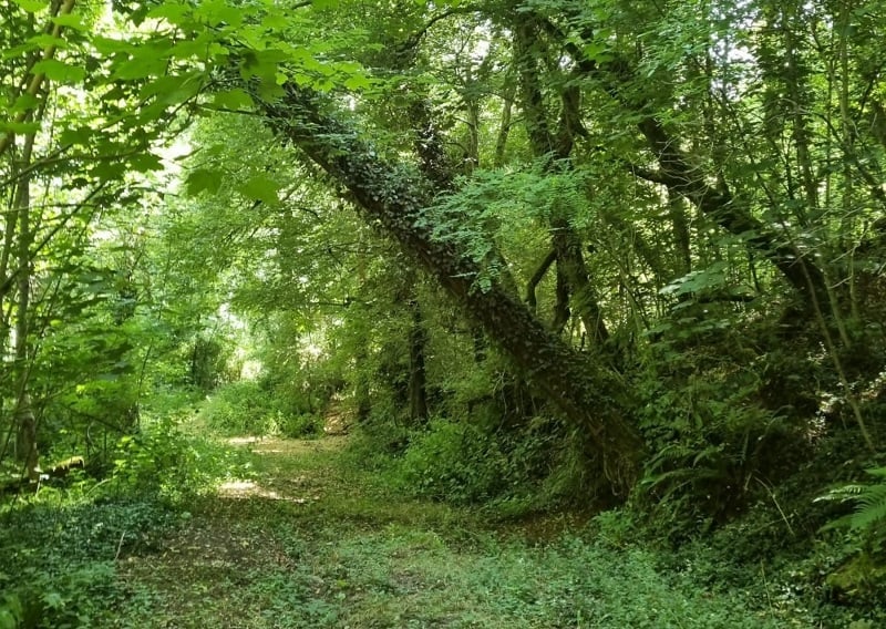 Nature, saveurs et détente au Domaine du Sablou