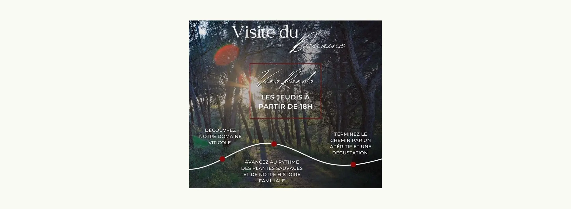 Visite du domaine viticole Mas de Gourgonnier - Rando vino