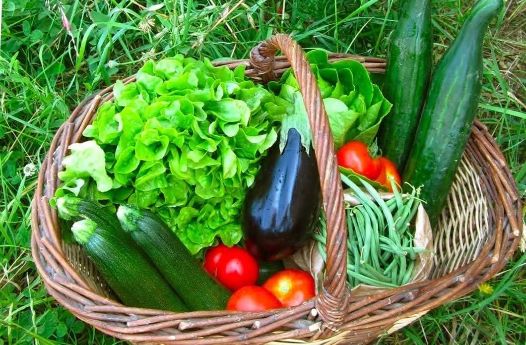 Marché du terroir tous les jeudis