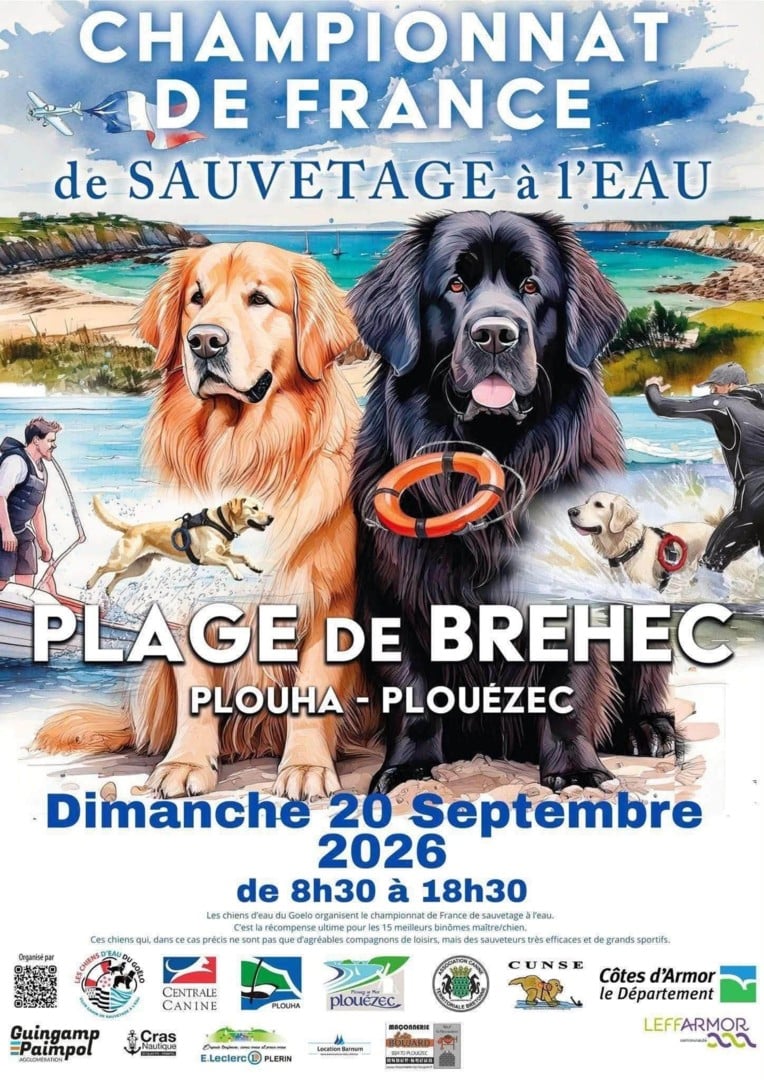 Championnat de France de sauvetage à l’eau
