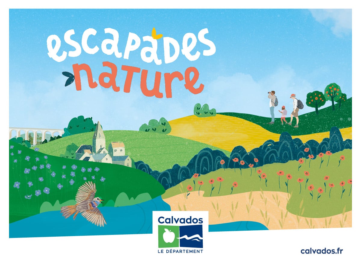 Balade nature "Traversée des falaises des Vaches noires"