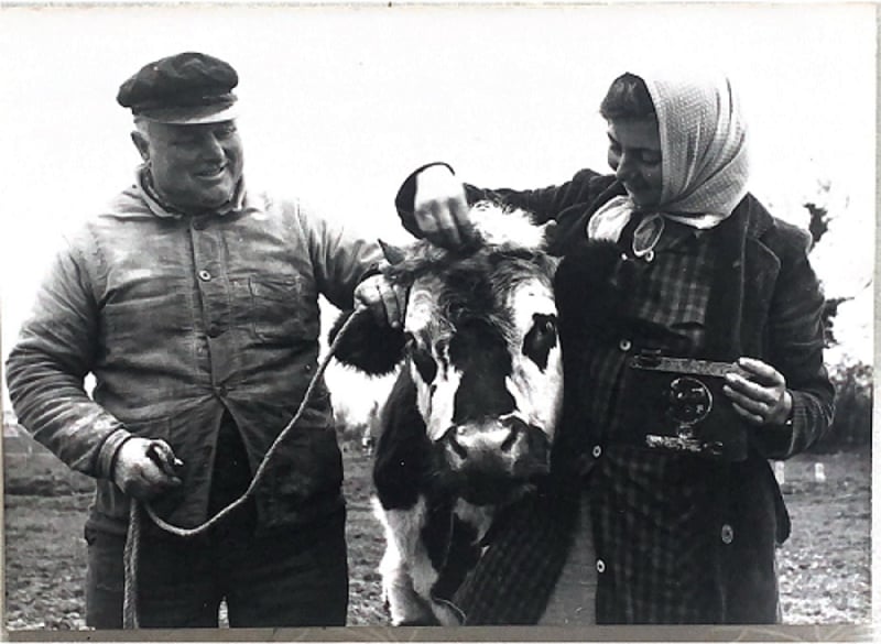 Marais du Bauptois : l'or des communs