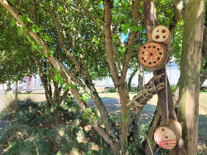 Atelier "Un hôtel pour les insectes "