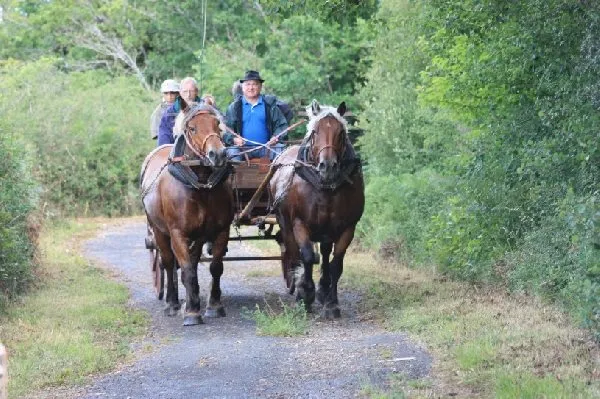 Rallye de l'Etrier de Lunel