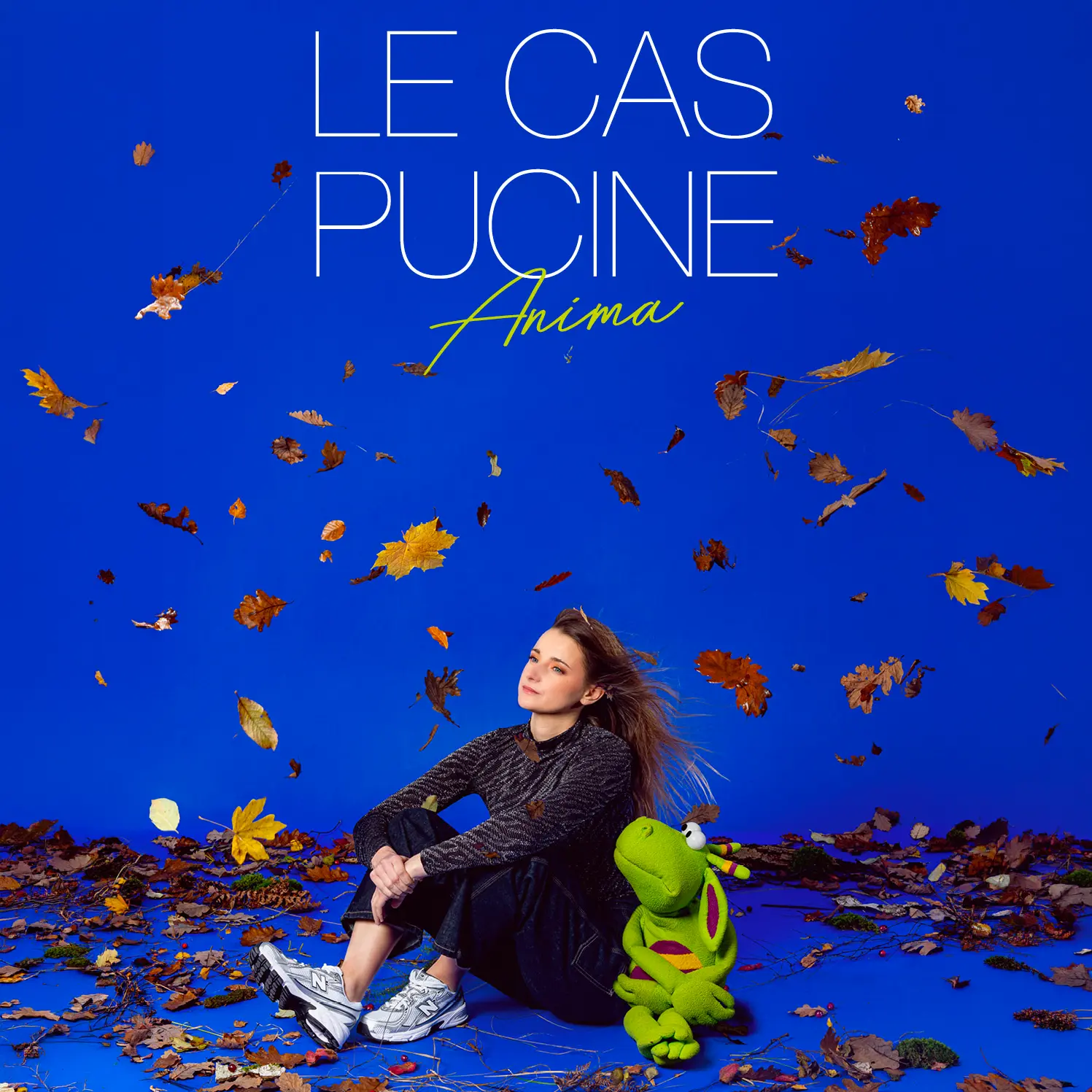 Le CAS PUCINE