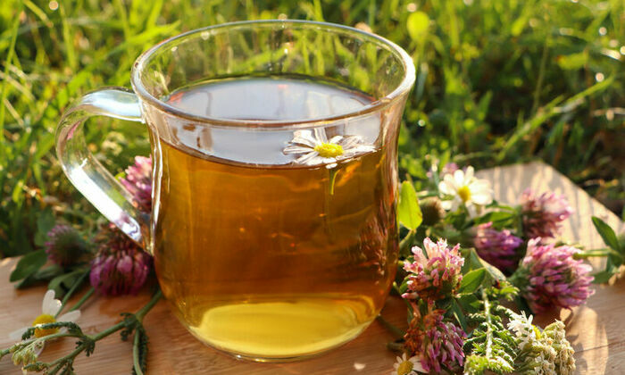 Jardinons ! Utiliser les plantes aromatiques du jardin en tisanes et en cuisine