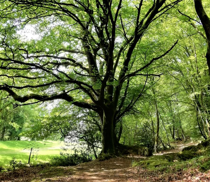 Randonnée commentée : Terres de légendes