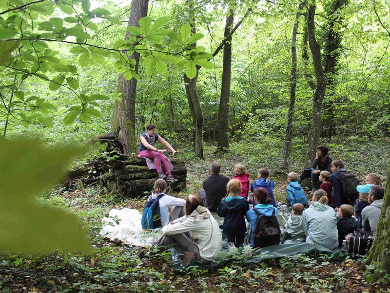 Balade contée 'Echos de la forêt'