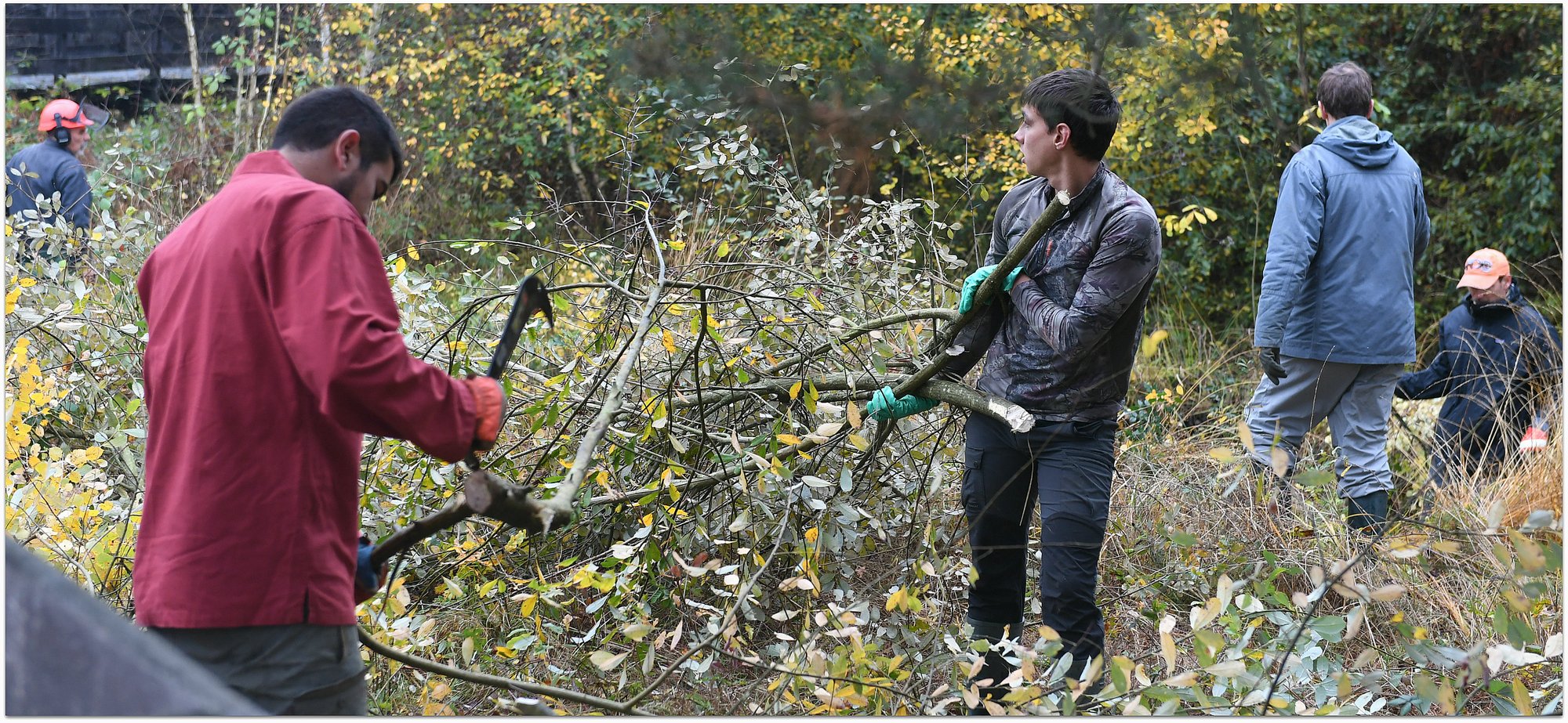 Chantiers d'automne à l'étang de Beaumont