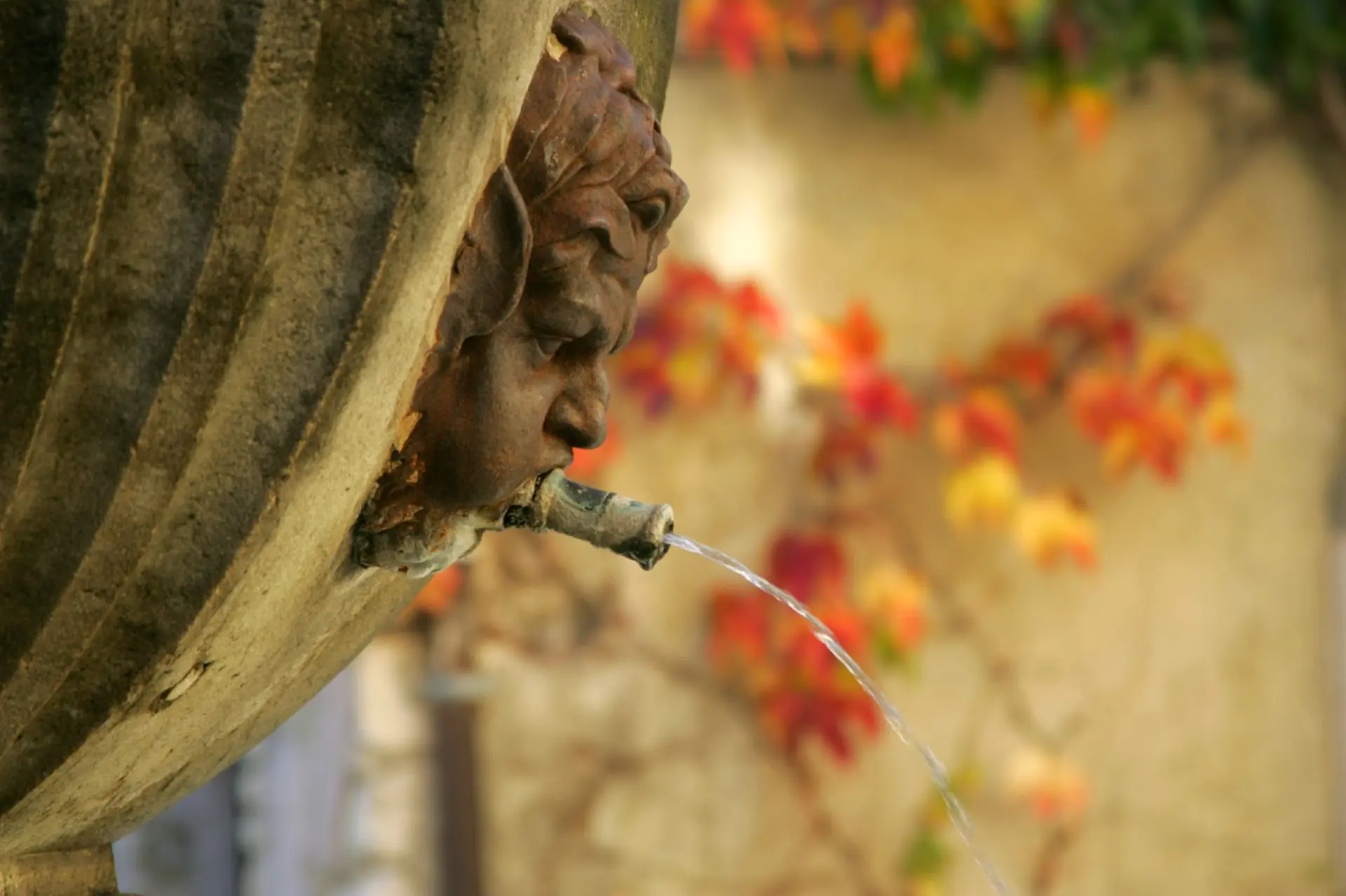 Conférence de Simon Porcher 'Le juste prix de l'eau !' - Rendez-vous du Parc 2026