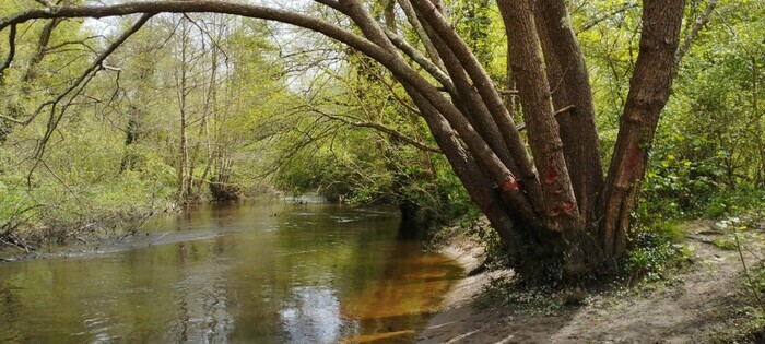 Pédalons au fil de l'eau, de Cantinolle à la Plaine de Gajac (le long de la piste cyclable)