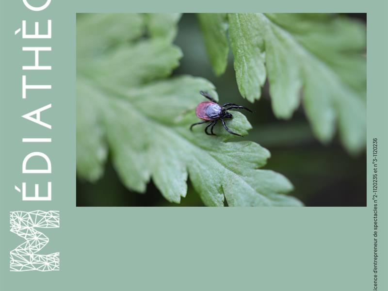 Rencontre : Prévention des piqûres de tiques