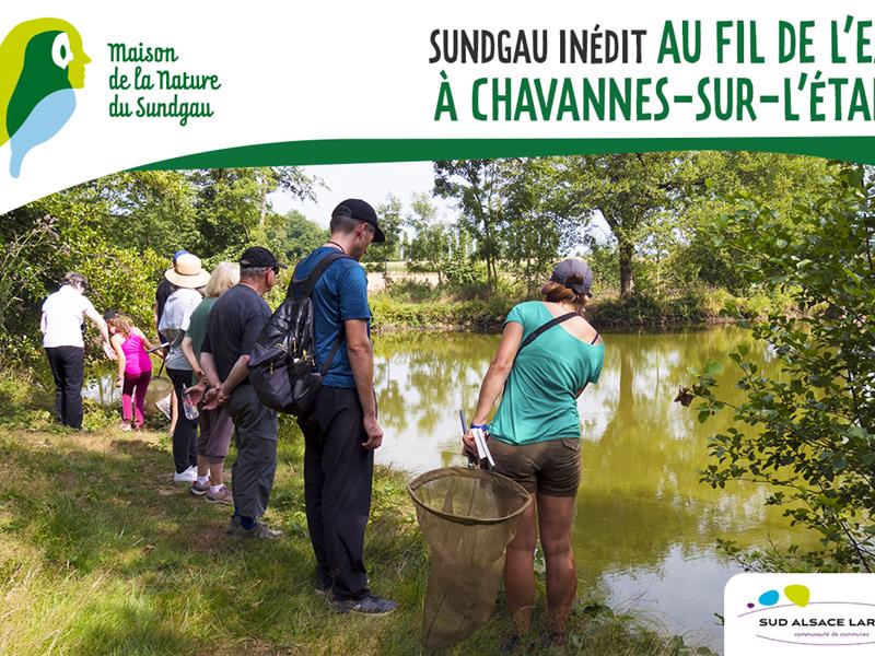 Au fil de l'eau à Chavannes/l'Étang