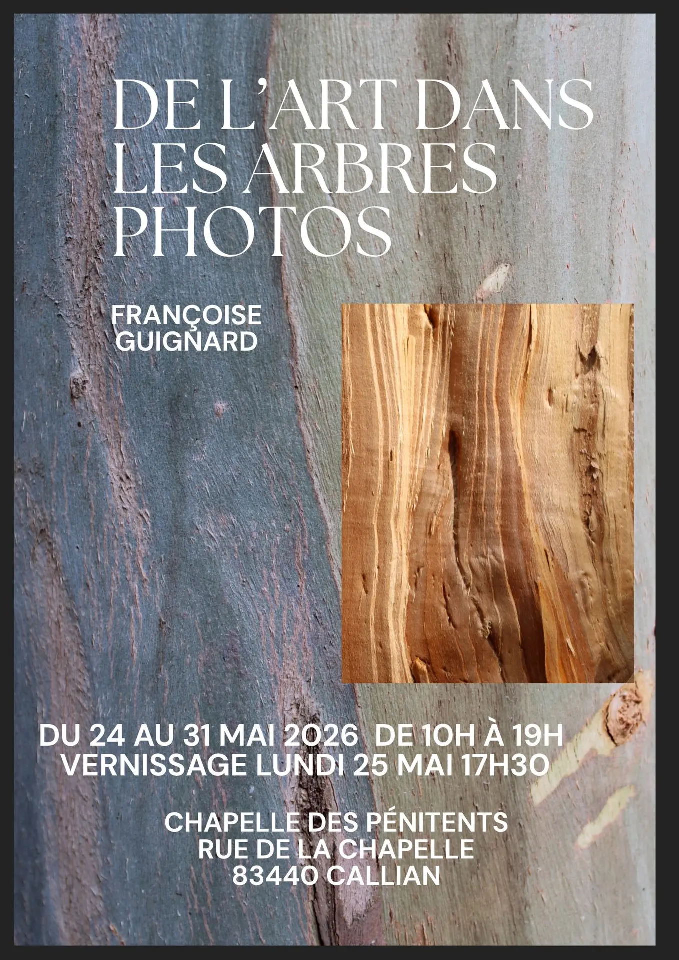 Exposition Photos de l'Art dans les arbres