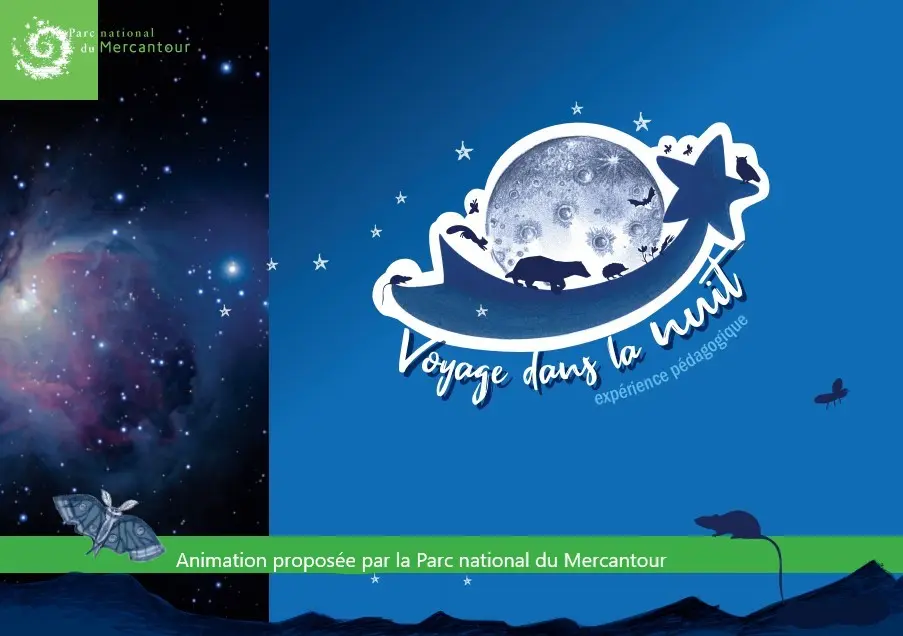 Promenade crépusculaire : découverte des animaux nocturnes et du ciel étoilé