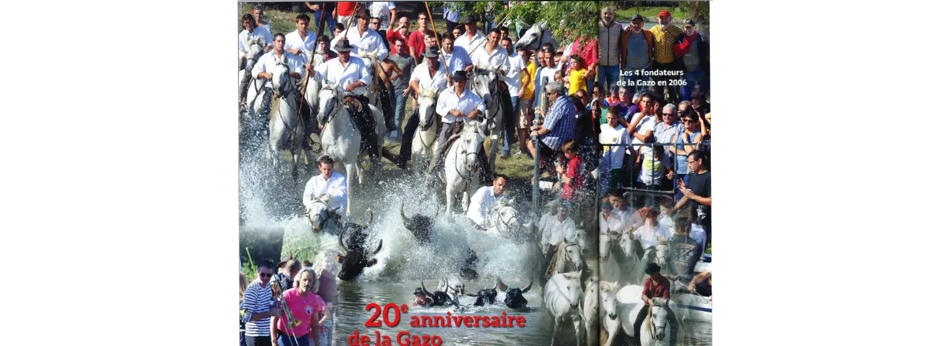 Fêtes votives de Saint-Rémy-de-Provence
