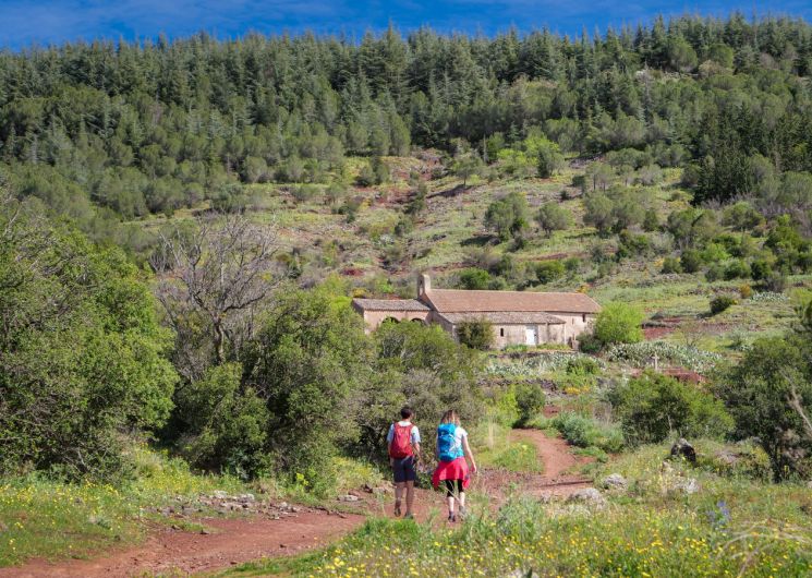 BALADE ET DÉGUSTATION D’HUILE D’OLIVE 2026