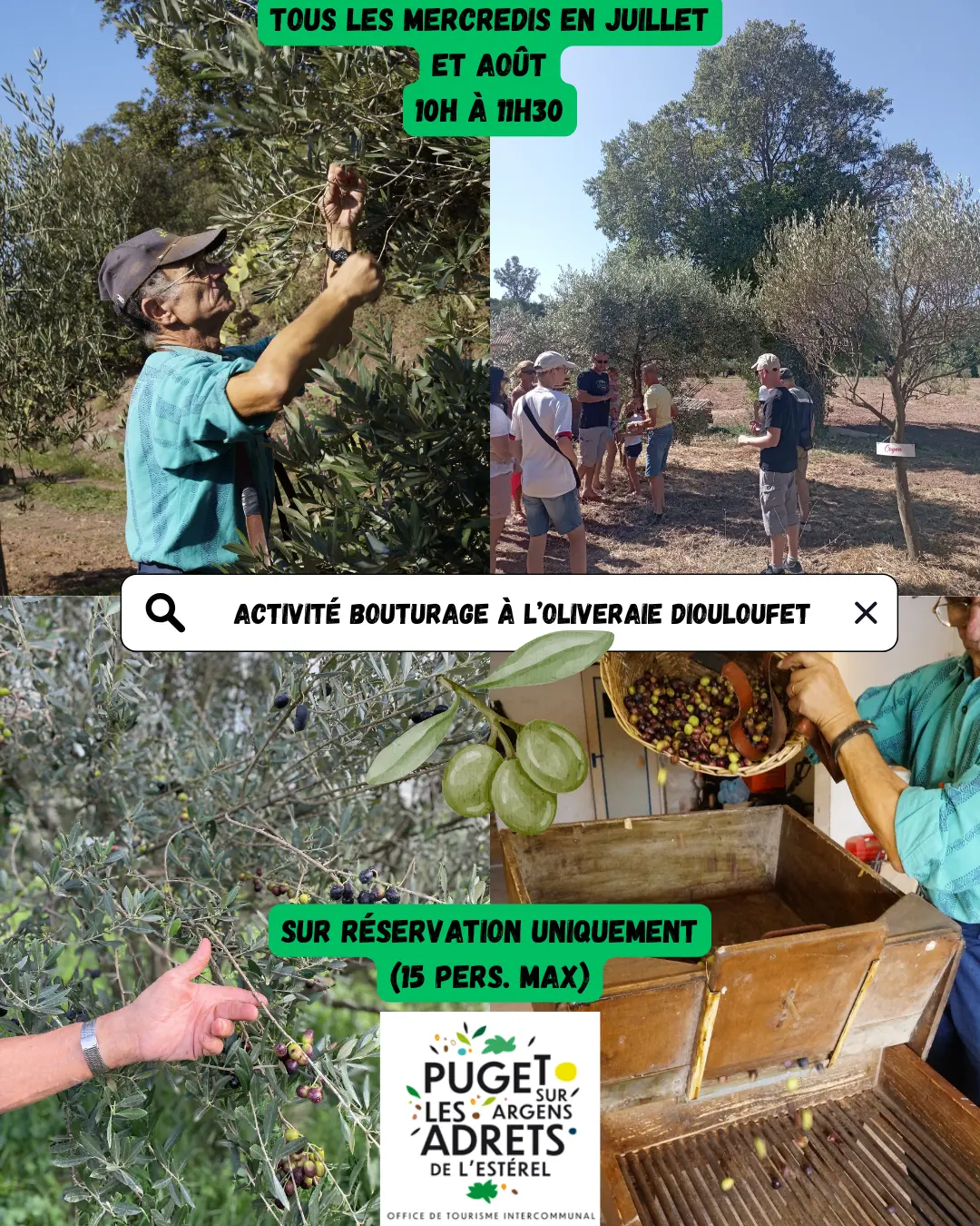 Atelier bouturage d'olivier