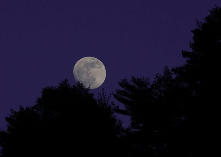 UN ÉTÉ AVEC LE PARC : PLEINE LUNE SUR LE MONT LOZÈRE