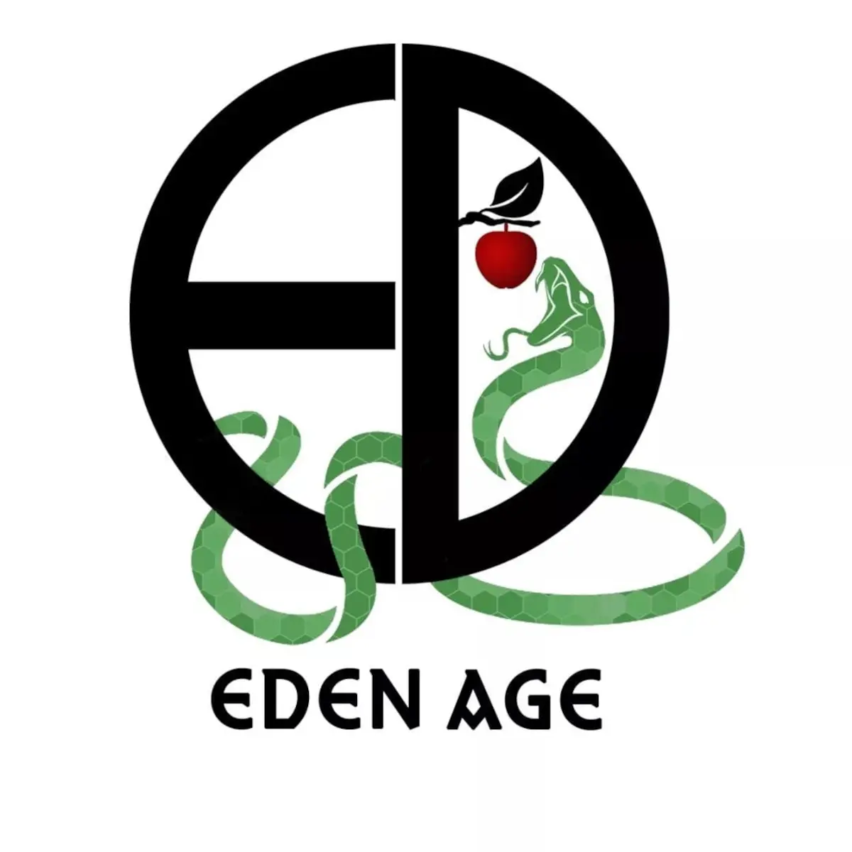 Concert du groupe "Eden Age"