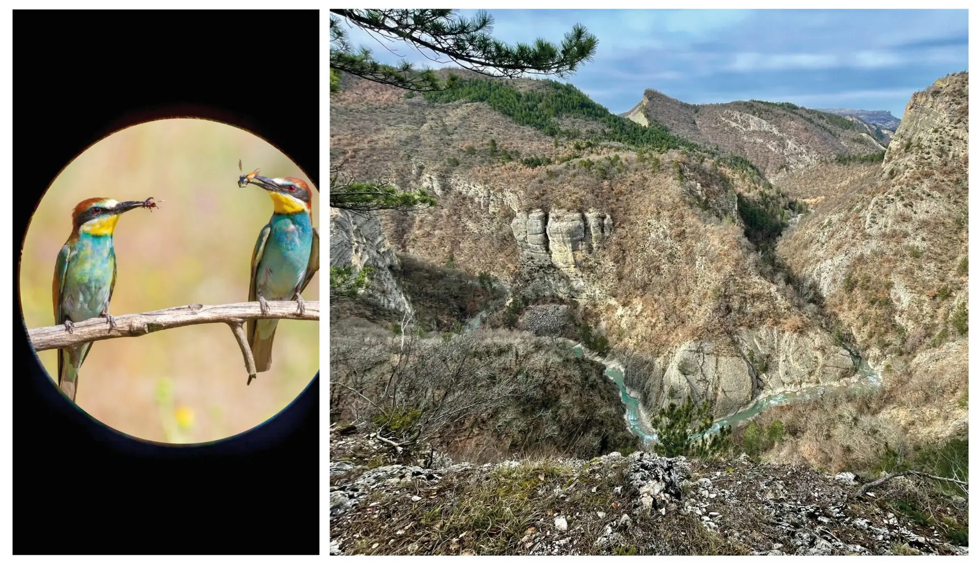 Rand-eau dans les Gorges du Vançon - Autres Versants