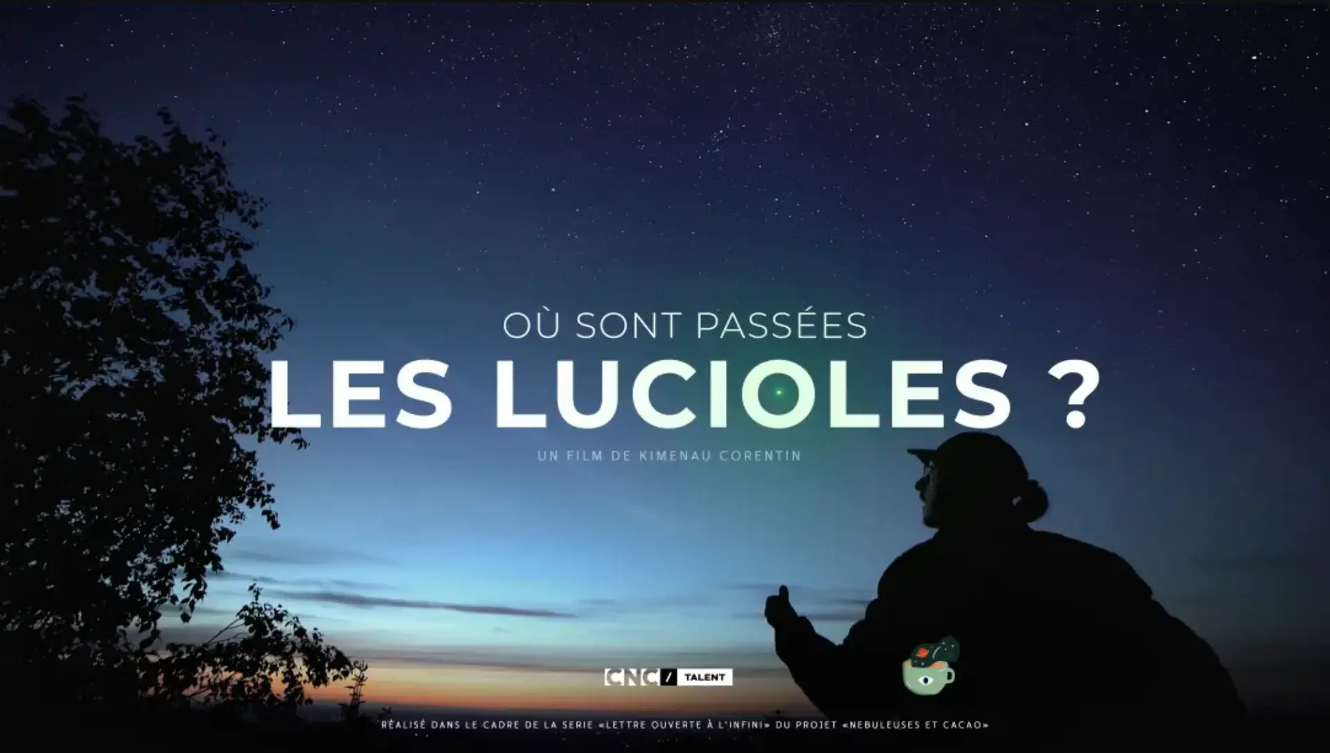 Soirée ciné nature "Où sont passées les lucioles ?"