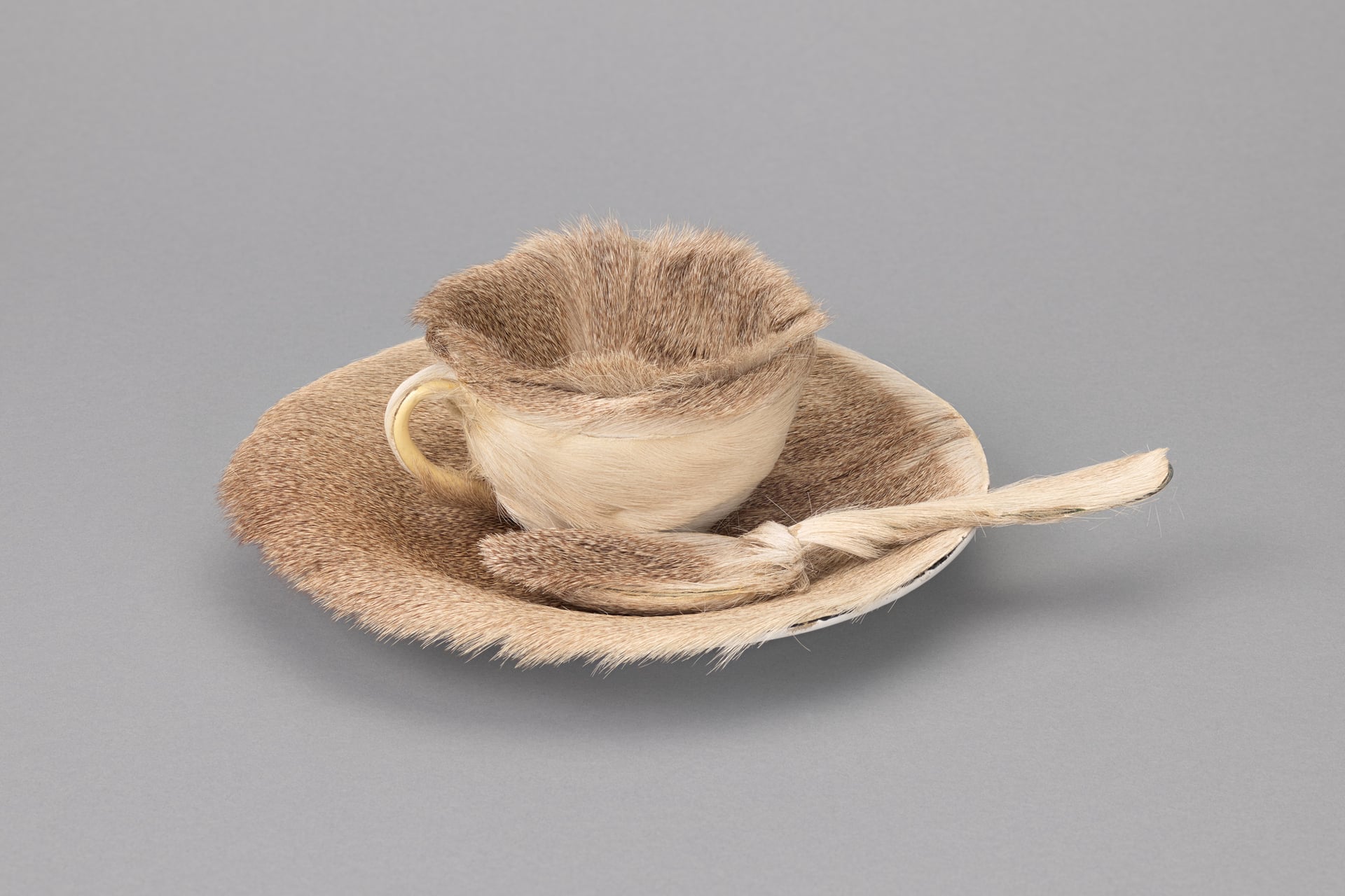 Visite Flash à la Micro-Folie