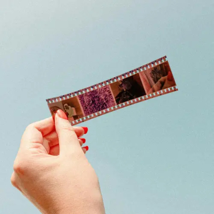 Aux origines du cinéma : les jouets optiques