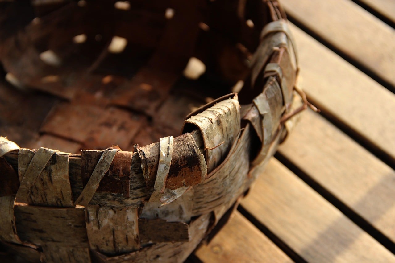 Initiation à la vannerie sauvage