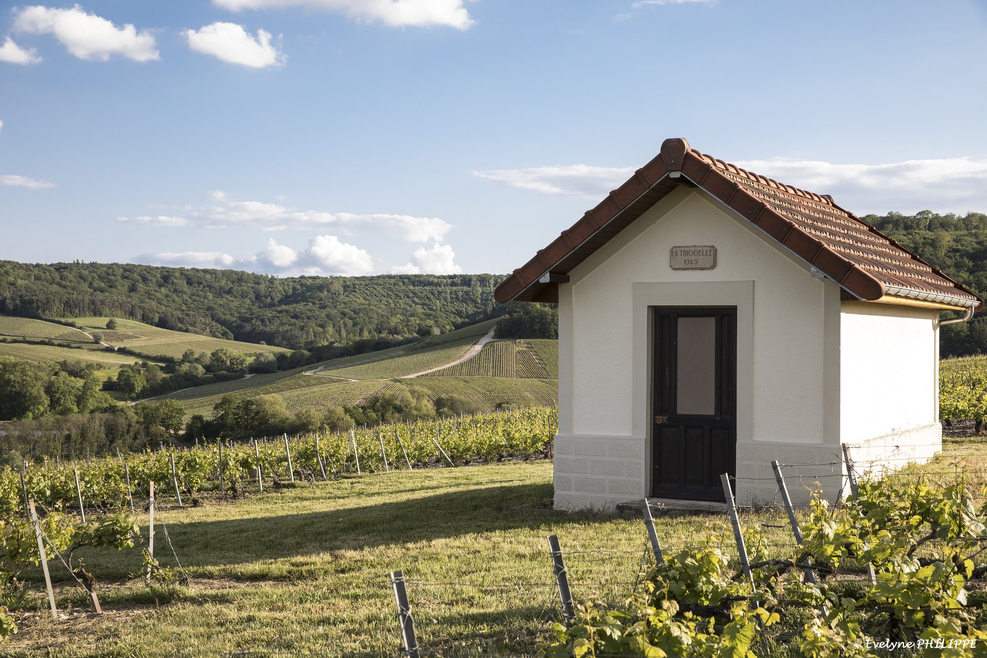 Escapade à la Thiodelle