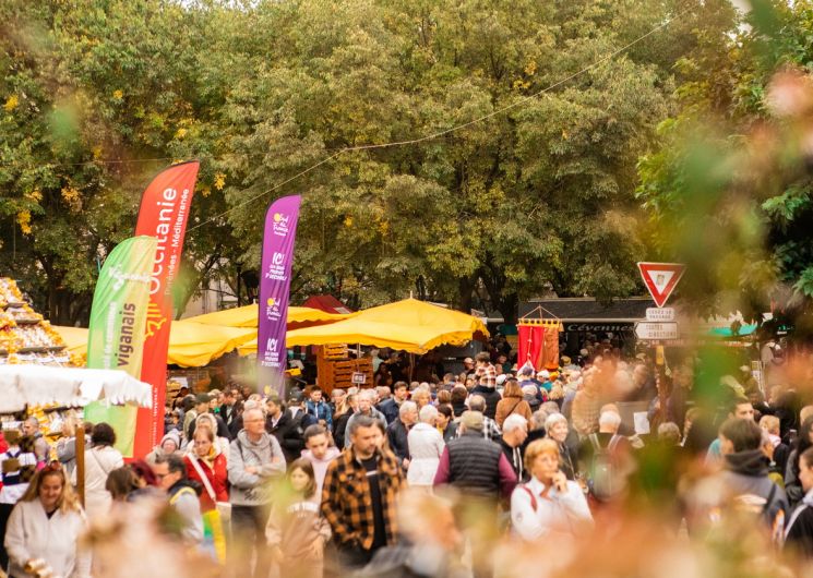 32ème Foire de la Pomme et de l’Oignon doux des cévennes