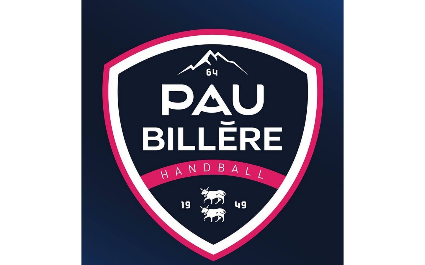 Handball Proligue - Pau Billère Handball 64 Vs Cherbourg