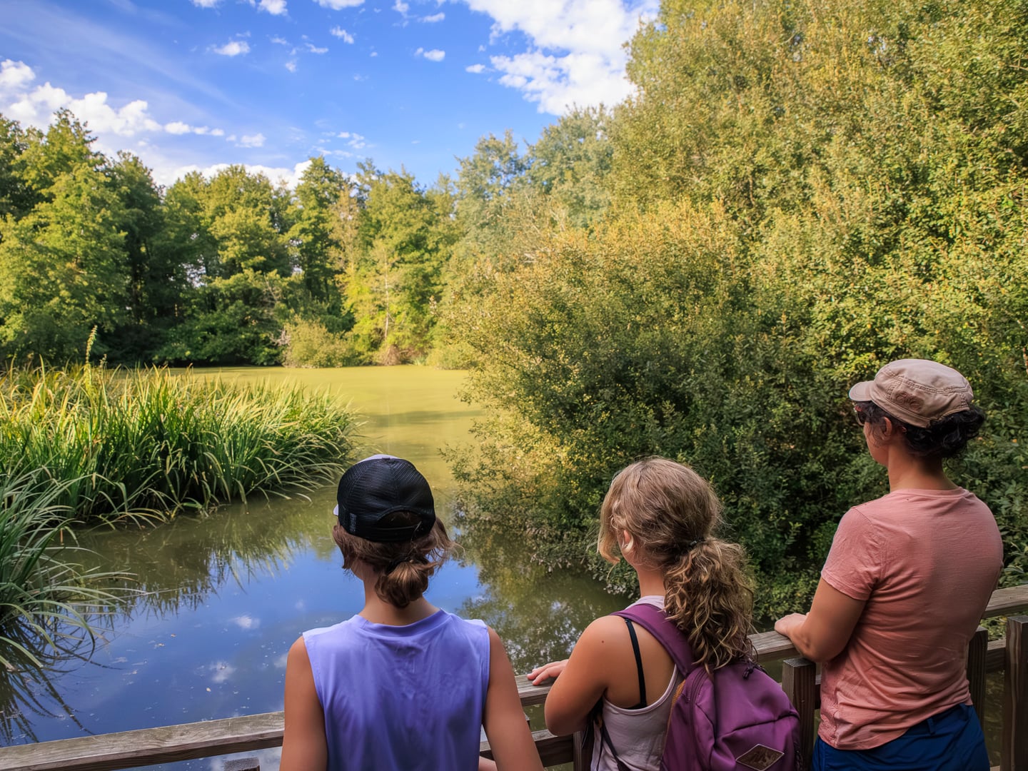 RDV nature 64, promenade en paysages d'eaux