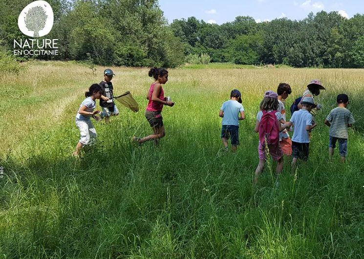 LES PETITS EXPLORATEURS DE LA FORÊT