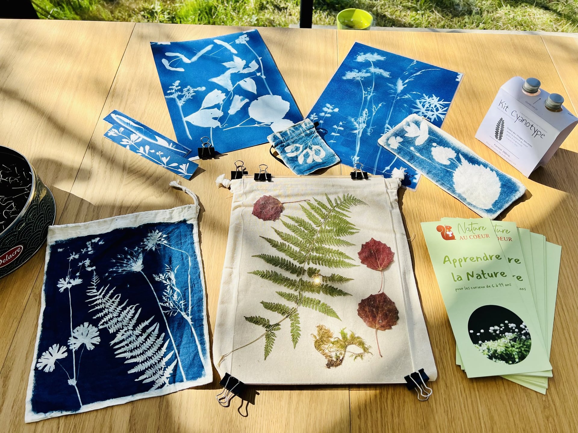 Atelier nature : Herbier cyanotype